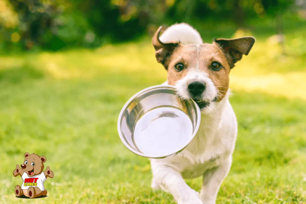HOT-Cares-Takes-Up-Iras-Pet-Food-Challenge-and-Makes-Sizeable-Donation-to-Worthy-Cause HOT-Cares-Takes-Up-Iras-Pet-Food-Challenge-and-Makes-Sizeable-Donation-to-Worthy-Cause