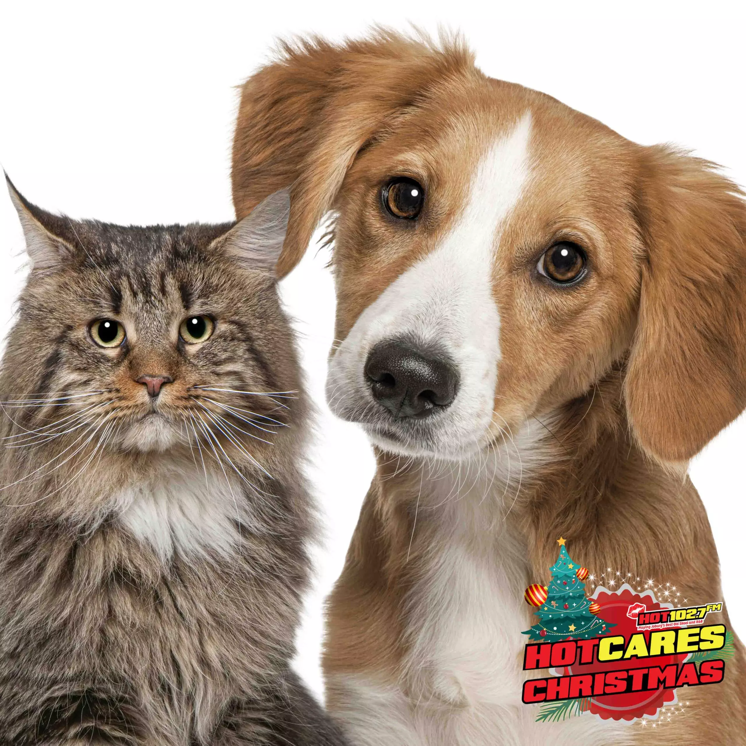 spca